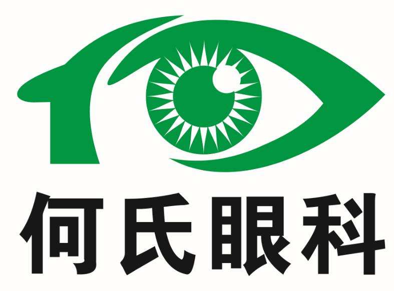 沈阳何氏眼产业集团