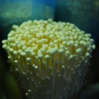 沈阳恒生生物科技发展有限公司