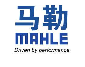 马勒发动机零部件（营口）有限公司
