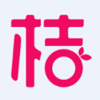沈阳市桔子网络科技有限公司