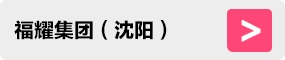 zd4.png